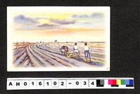 藏品(〔陳廷祥先生收藏系列〕：昭和年間明信片簿(一)似軍人犁田風景畫作明信片)的圖片